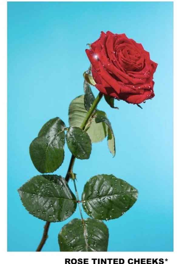 Rose Tinted Cheeks Poster 3