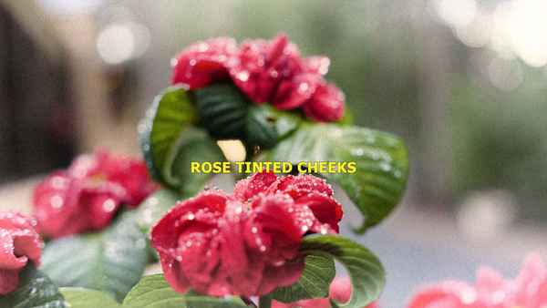 Rose Tinted Cheeks Poster 1