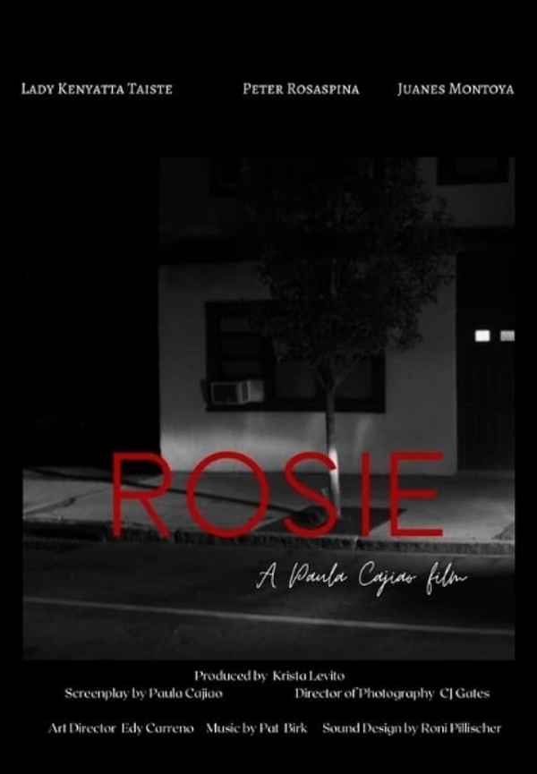 ROSIE Poster 6