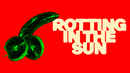Rotting in the Sun Poster 1