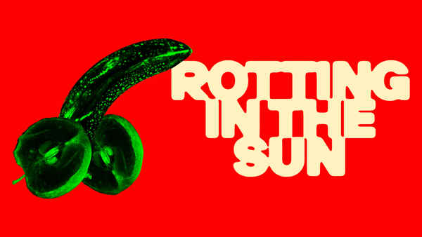 Rotting in the Sun Poster 1
