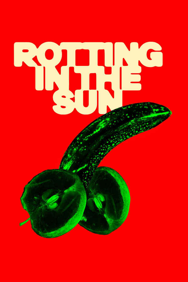 Rotting in the Sun Poster 4