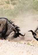 Round Planet Poster 6