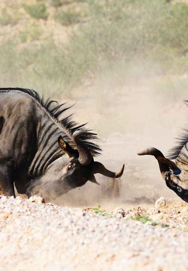 Round Planet Poster 6