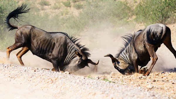 Round Planet Poster 3