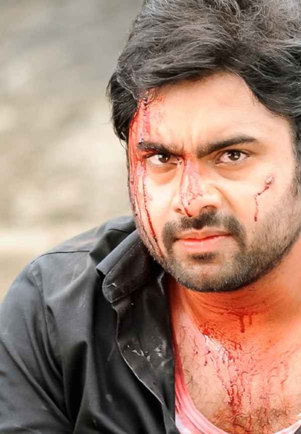 Rowdy Fellow Poster 7