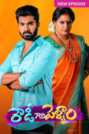 Rowdy Gari Pellam Poster 2