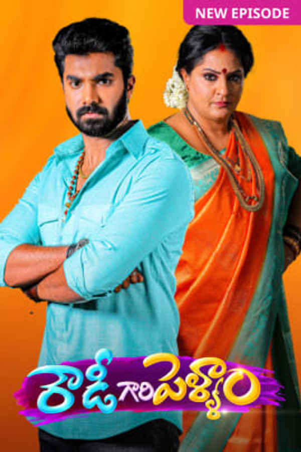 Rowdy Gari Pellam Poster 2