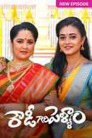 Rowdy Gari Pellam Poster 7