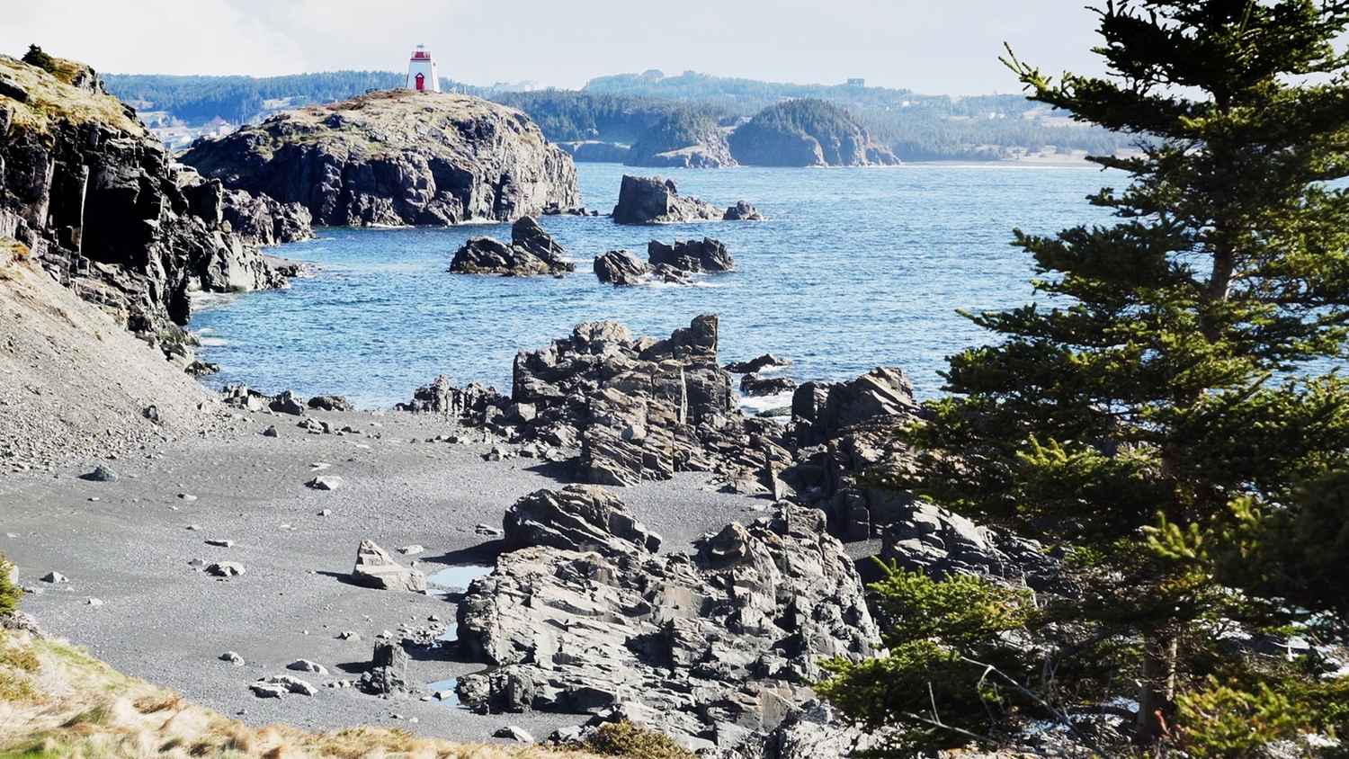 Rugged Coast: Newfoundland