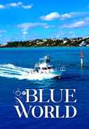S1. Blue World Poster 3