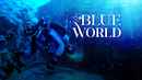 S1. Blue World Poster 2