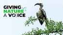 S1. Giving Nature A Voice Poster 1