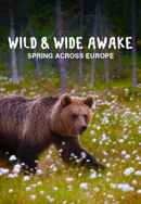 S1. Wild & Wide Awake - Spring across Europe Poster 2