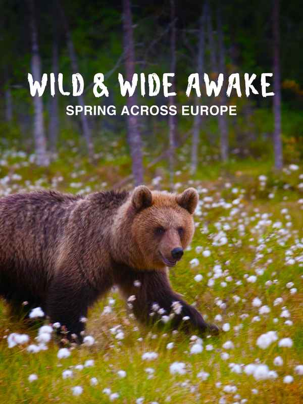 S1. Wild & Wide Awake - Spring across Europe Poster 1
