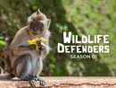 S1. Wildlife Defenders Poster 2