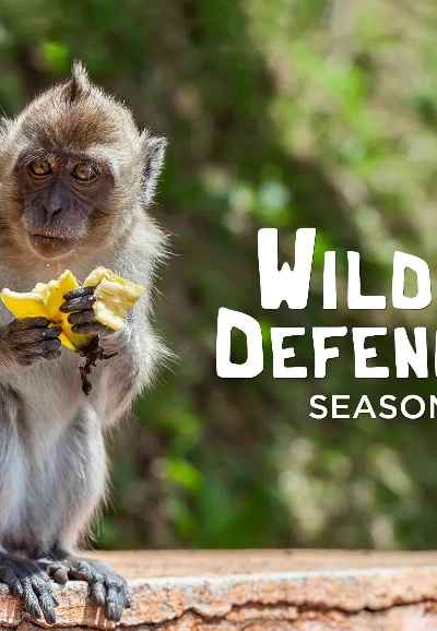 S1. Wildlife Defenders