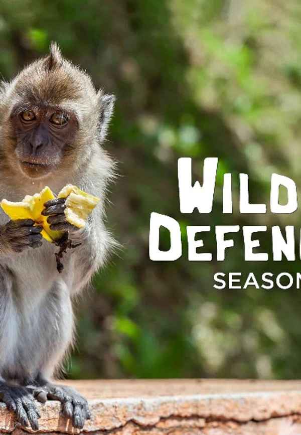 S1. Wildlife Defenders Poster 4