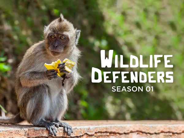 S1. Wildlife Defenders Poster 1