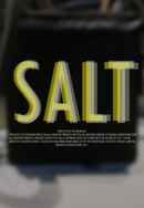 Salt Poster 4