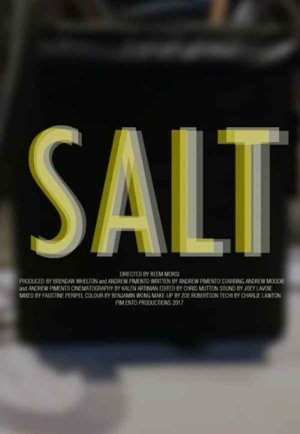Salt Poster 4