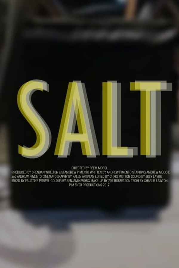 Salt Poster 1