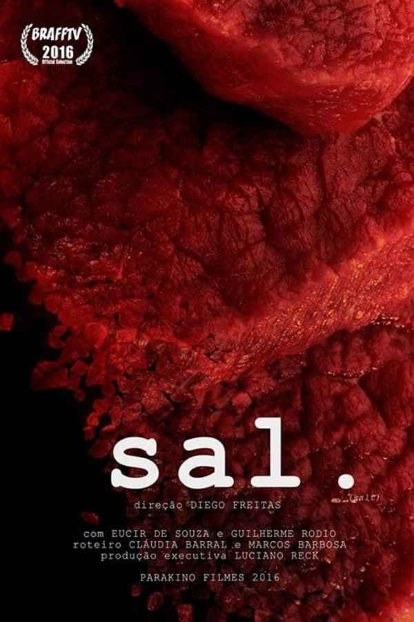 Salt Poster 3