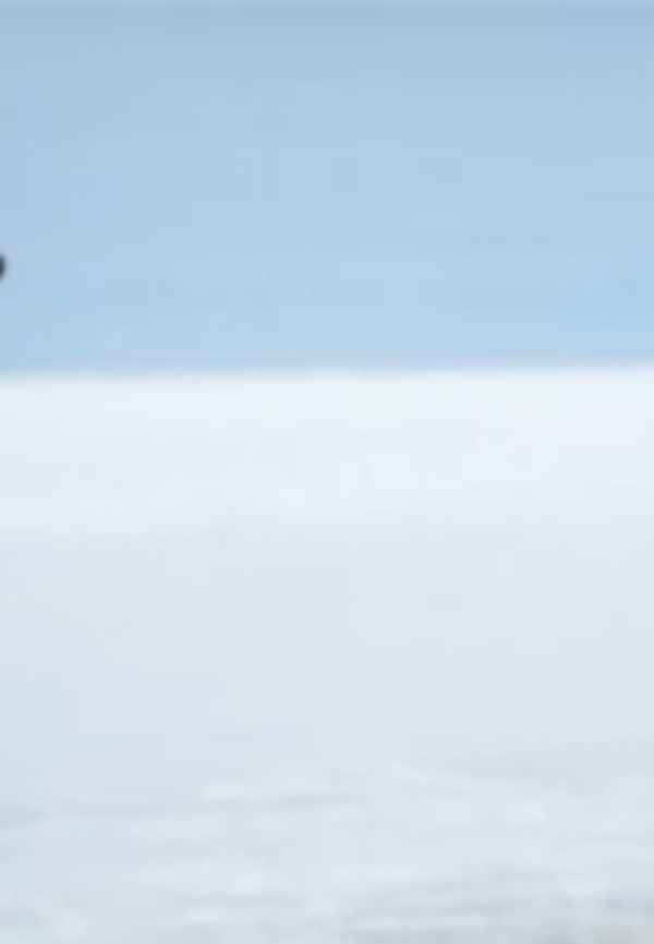 Salt and Fire Poster 2