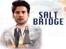 Salt Bridge Poster 5