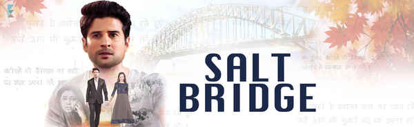 Salt Bridge Poster 2