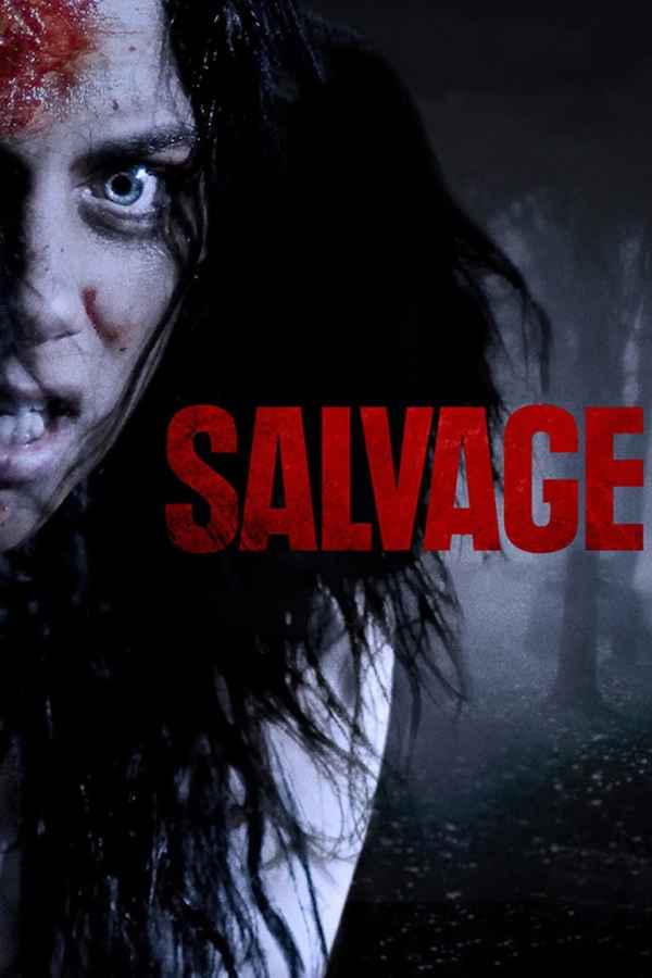 Salvage Poster 3