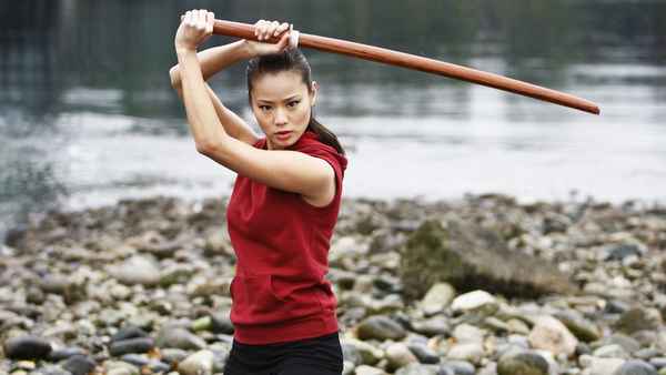 Samurai Girl Poster 2