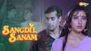 Sangdil Sanam Poster 4
