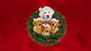 Santa Buddies Poster 2