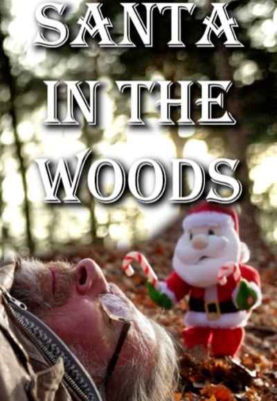 Santa in the Woods