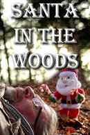 Santa in the Woods Poster 1