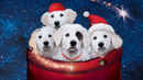 Santa Paws 2: The Santa Pups Poster 2