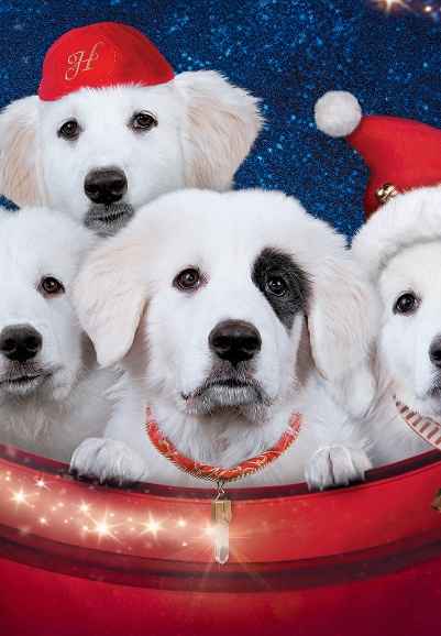 Santa Paws 2: The Santa Pups