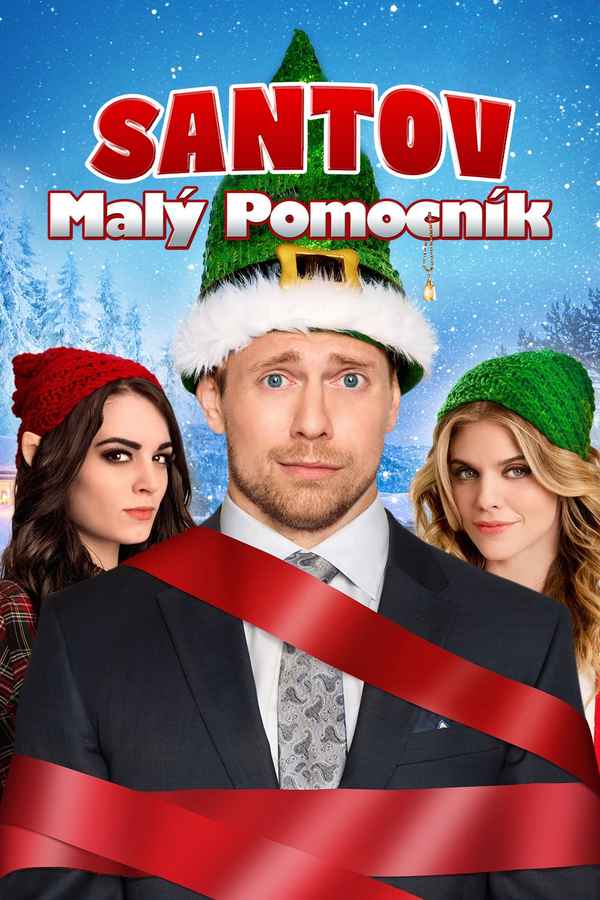 Santa's Little Helper Poster 6