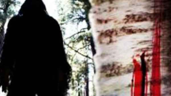 Sasquatch Mountain Poster 2