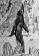 Sasquatch Sunset Poster 5