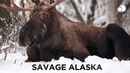 Savage Alaska Poster 3