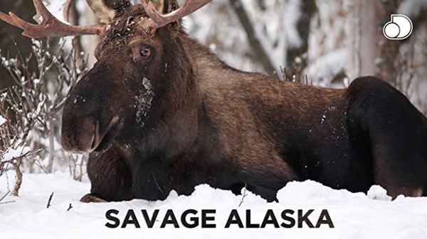 Savage Alaska Poster 3