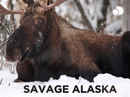 Savage Alaska Poster 2