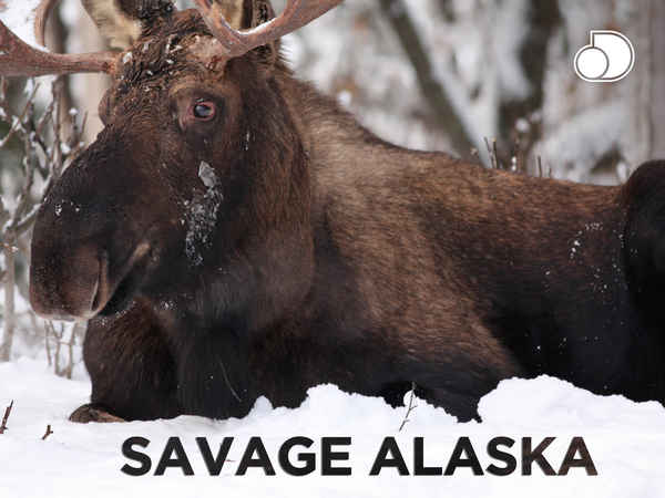 Savage Alaska Poster 2