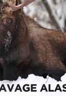 Savage Alaska Poster 4