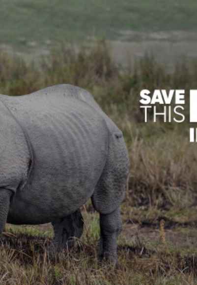 Save This Rhino