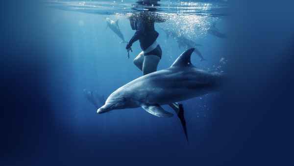 Saved From a Shark Poster 7