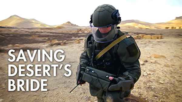 Saving Desert's Bride Poster 1