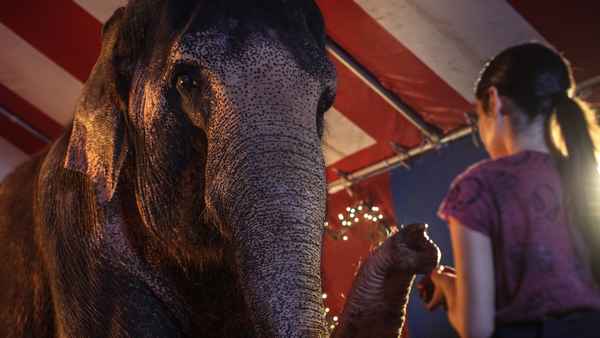 Saving Flora Poster 2